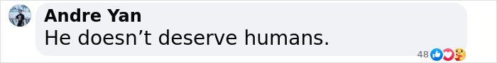 Comment by Andre Yan expressing outrage over corgi police dog's punishment. Comment by Andre Yan expressing outrage over corgi police dog's punishment.