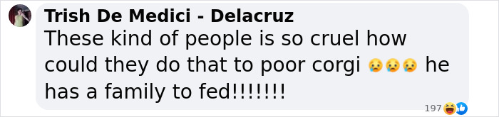 Comment expressing outrage over punishment of corgi police dog accused of sleeping on duty. Comment expressing outrage over punishment of corgi police dog accused of sleeping on duty.