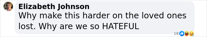Comment questioning hateful behavior amid DC plane crash conspiracy discussion. Comment questioning hateful behavior amid DC plane crash conspiracy discussion.