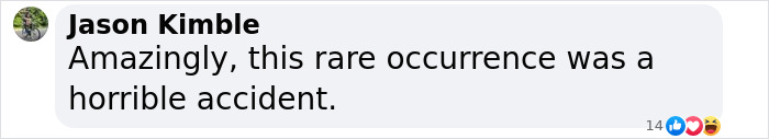 Comment expressing surprise about the Black Hawk conspiracy and the DC plane crash incident. Comment expressing surprise about the Black Hawk conspiracy and the DC plane crash incident.