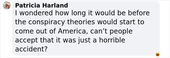 Chat comment questioning conspiracy theories about a DC plane crash. Chat comment questioning conspiracy theories about a DC plane crash.