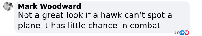 Comment by Mark Woodward discussing Black Hawk and plane detection in combat scenario. Comment by Mark Woodward discussing Black Hawk and plane detection in combat scenario.