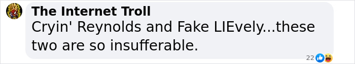 Internet comment calling Blake Lively and Ryan Reynolds "insufferable" by user "The Internet Troll. Internet comment calling Blake Lively and Ryan Reynolds "insufferable" by user "The Internet Troll.