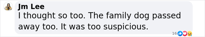 Text message expressing suspicion about a family dog passing too, related to carbon monoxide poisoning concern. Text message expressing suspicion about a family dog passing too, related to carbon monoxide poisoning concern.