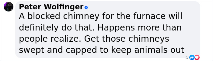 Comment discussing carbon monoxide risks from blocked chimneys. Comment discussing carbon monoxide risks from blocked chimneys.