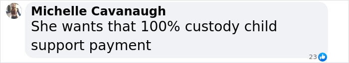 Facebook comment discussing custody and child support. Facebook comment discussing custody and child support.