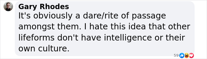 Gary Rhodes comments on monkeys trying to mate with deer, discussing animal intelligence and culture. Gary Rhodes comments on monkeys trying to mate with deer, discussing animal intelligence and culture.