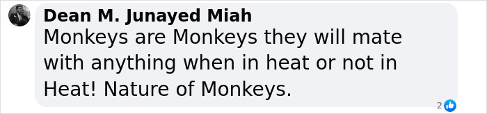 Comment about monkeys' behavior related to mating instincts. Comment about monkeys' behavior related to mating instincts.