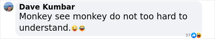 Text message humorously referencing monkeys and strange mating behavior, accompanied by laughing emojis. Text message humorously referencing monkeys and strange mating behavior, accompanied by laughing emojis.