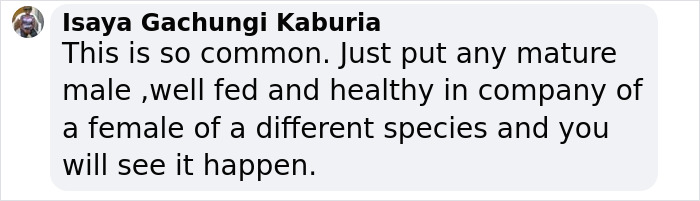 Text message about animals, discussing male behaviors towards females of a different species. Text message about animals, discussing male behaviors towards females of a different species.