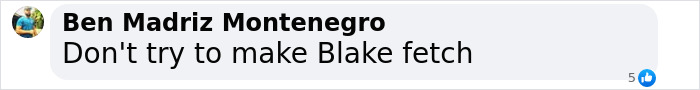 Comment referencing Blake Lively and a pop culture phrase, with a like count shown. Comment referencing Blake Lively and a pop culture phrase, with a like count shown.