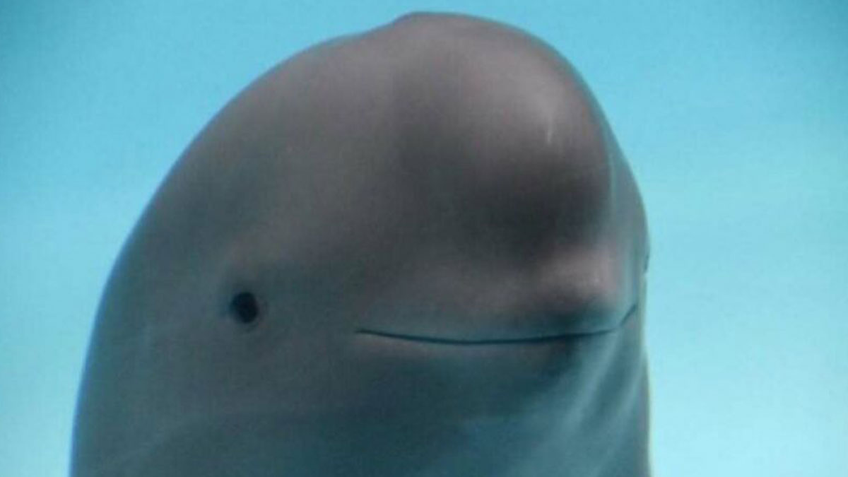 47 Tweets And Jokes Created For Your Chuckles