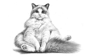 This Artist Combines Hyper-Realism With Doodles, And Here Are His 45 Best Works