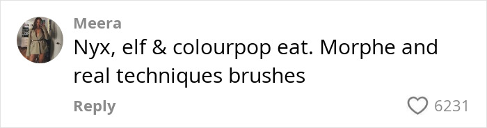 Comment discussing makeup brands and brushes. Comment discussing makeup brands and brushes.