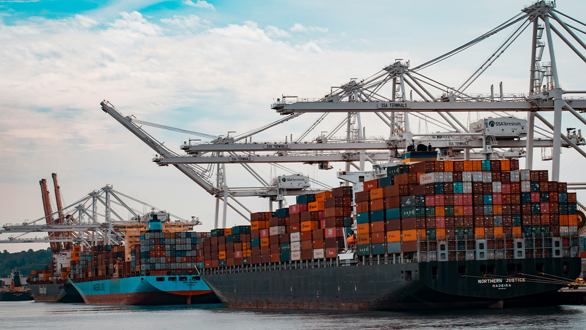 30 Critical Pieces Of Knowledge That A “Disturbing Number Of People” Are Ignorant Of