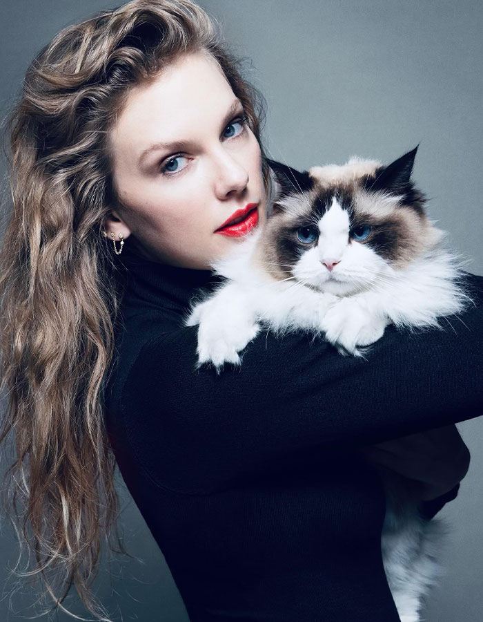A woman holding a fluffy cat in a studio portrait, highlighting divorce-related emotions. A woman holding a fluffy cat in a studio portrait, highlighting divorce-related emotions.