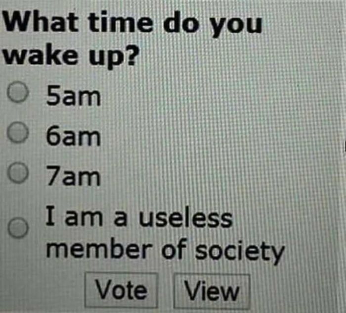 Poll meme with choices about wake-up times; last option humorously states "I am a useless member of society."