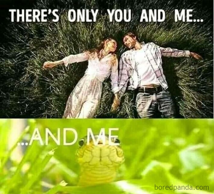 Couple lying in grass with text "There's only you and me," followed by a snake and text "...and me"; funny memes theme.