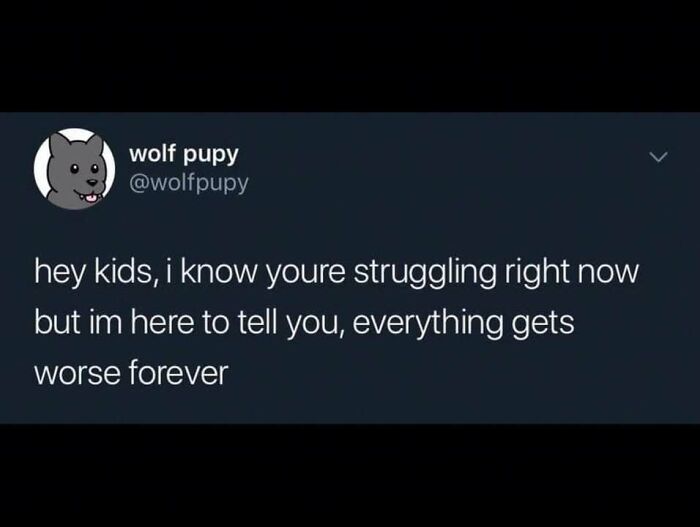 Wolf pupy meme text about struggle, humorously claiming things get worse forever, reflects funny and random internet memes.