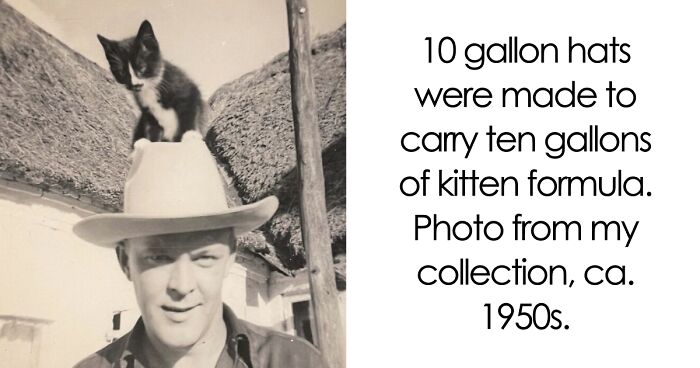 34 Vintage Photos Celebrating Our Enduring Bond With Cats