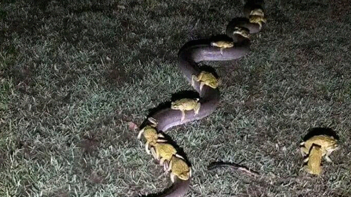 50 Times People Were So Stunned By What They Were Seeing, They Had To Take A Photo (New Pics)