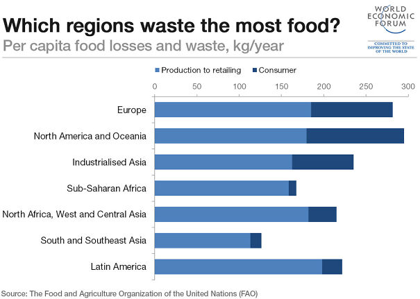 which-regions-waste-the-most-food_1024-1024x729-67b1960189d13-png.jpg