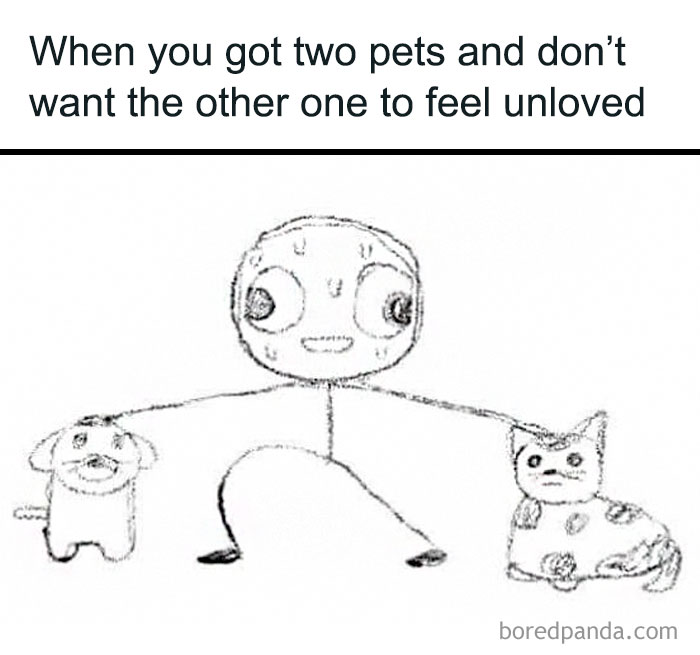 Stick figure hugging dog and cat, spreading positivity through funny meme.