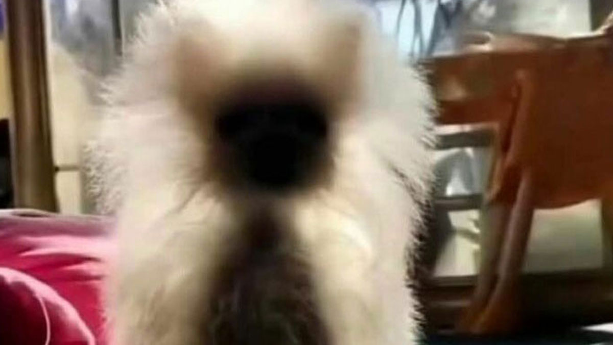 50 Uplifting Memes And Posts For That Daily Dose Of Positivity (New Pics)