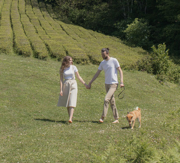 Couple holding hands and walking with a dog in a green field, man holding the leash. Couple holding hands and walking with a dog in a green field, man holding the leash.