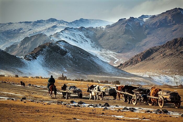 Nomadic culture: person on horseback with ox carts crossing a rugged, snowy terrain.