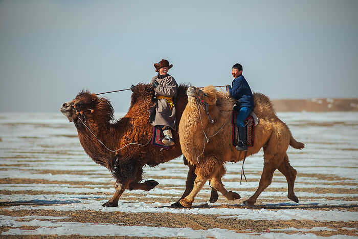 Two people riding camels in a snowy landscape, illustrating culture and tradition.