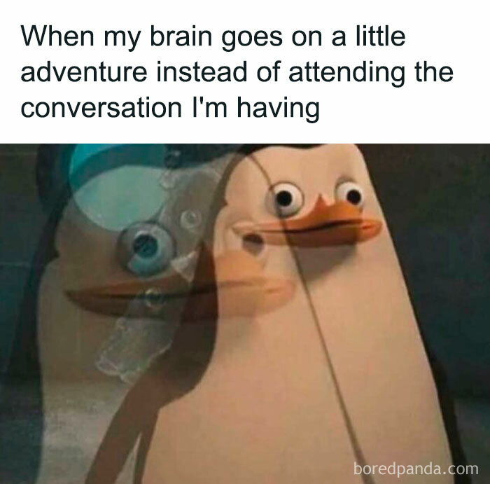 Confused penguin meme capturing a relatable moment, making your day better with humor.