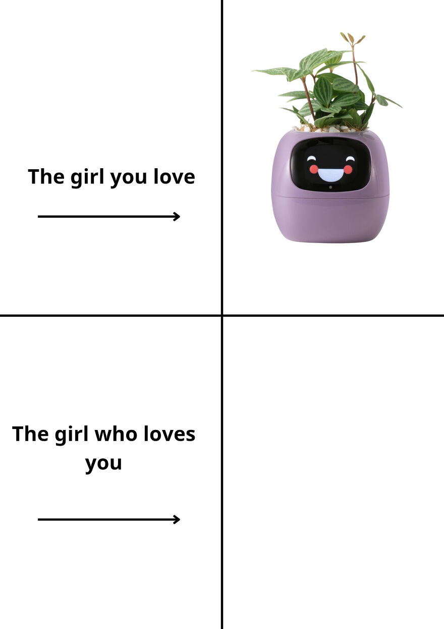 The Girl You Love The Girl You Love