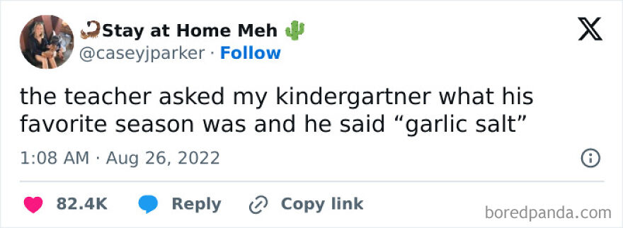 Funny meme of a kindergartener saying "garlic salt" is his favorite season.