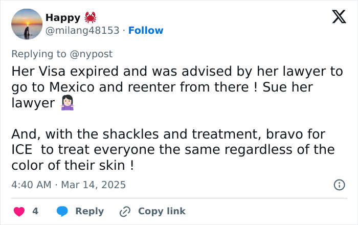 Tweet criticizes ICE treatment; American Pie star's visa issue mentioned. Tweet criticizes ICE treatment; American Pie star's visa issue mentioned.