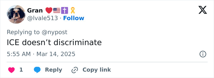 Tweet from user discussing ICE policies related to American Pie star. Tweet from user discussing ICE policies related to American Pie star.