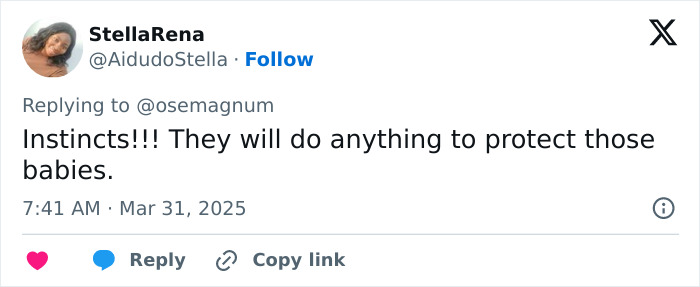 Tweet praising nurses as "angels" for protecting newborns during Myanmar earthquake. Tweet praising nurses as "angels" for protecting newborns during Myanmar earthquake.