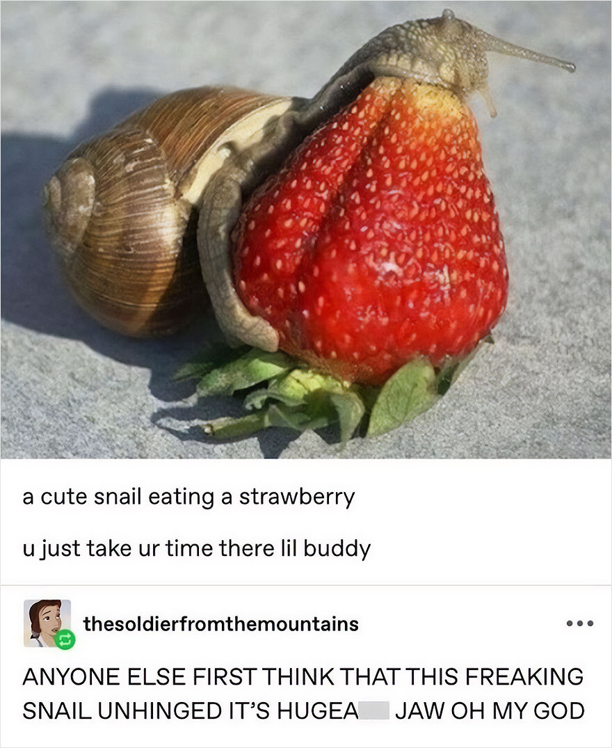 Snail humorously nibbling on a large strawberry, creating a funny optical illusion for a manic week laugh.