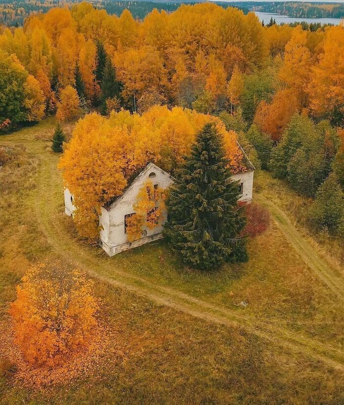 Abandoned house surrounded by vibrant autumn trees, showcasing natural beauty over time.