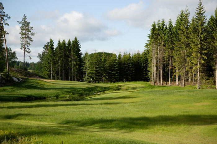 Breathtaking golf course surrounded by lush trees under a clear sky.