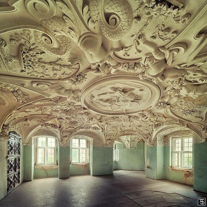 Intricately decorated ceiling in an abandoned room, showcasing beauty in decay.