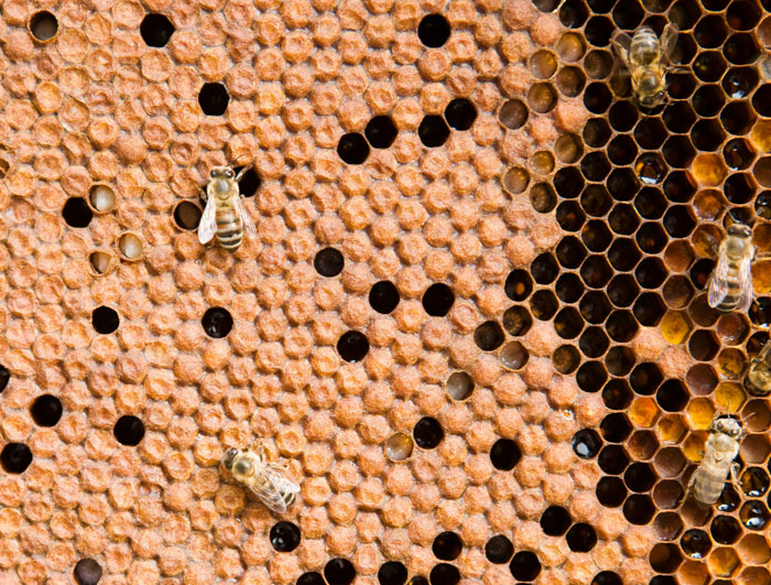 “Fish Smell In Your House”: 30 Potentially Life-Saving Facts Everyone Should Know