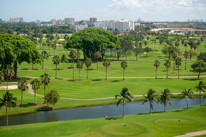Lush green golf course with palm trees and a city skyline in the background, highlighting breathtaking courses.