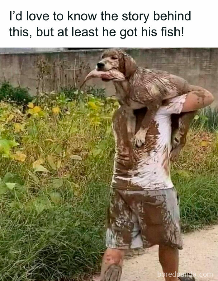 Man covered in mud carries a muddy dog with a fish, creating a funny and awkward animal moment.
