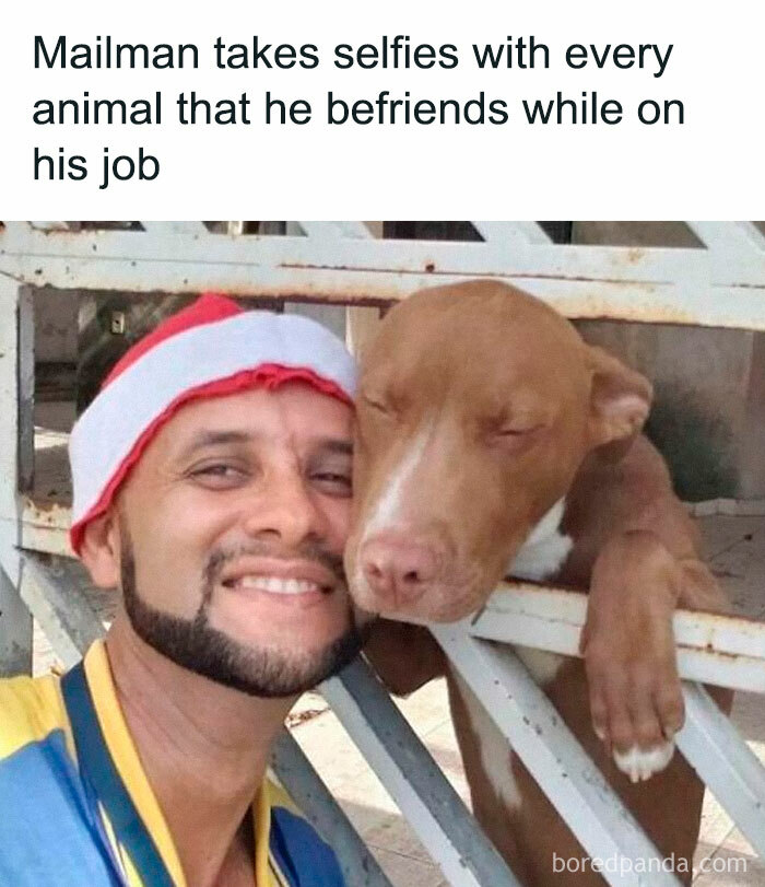 Mailman in Santa hat takes selfie with relaxed dog through fence, showcasing funny and awkward animal moments.