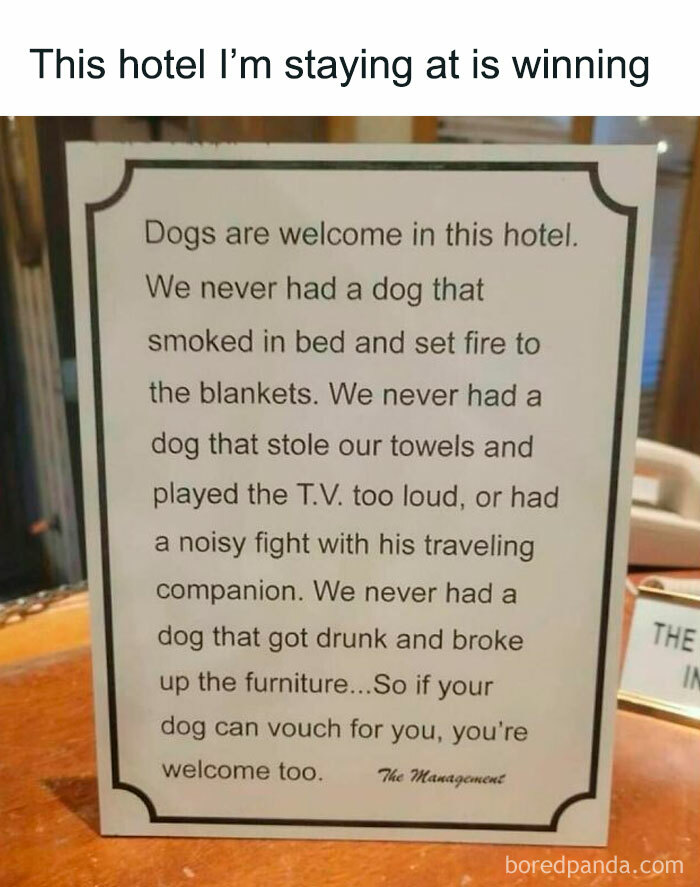 Funny and awkward animal post with a hotel sign humorously welcoming dogs over unruly guests.