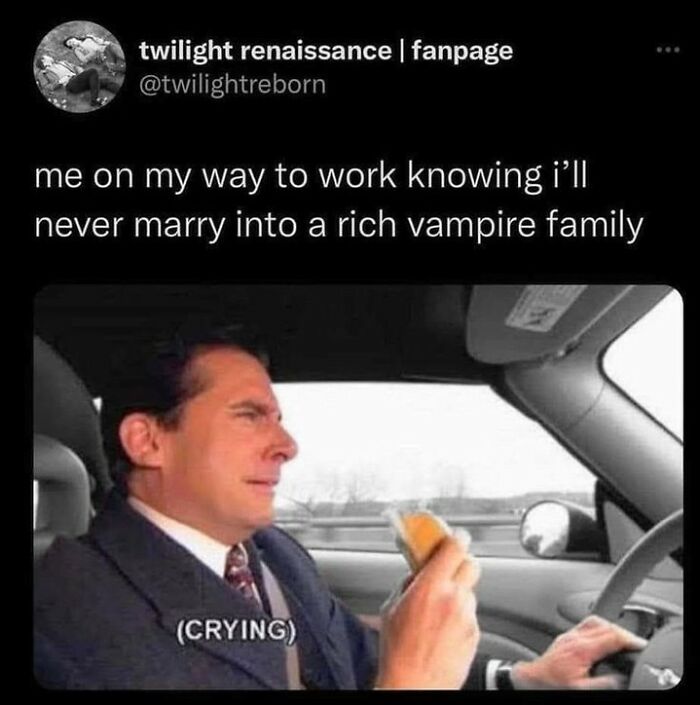 Man in a suit crying in a car holding a sandwich, with text about not marrying into a rich vampire family; sarcasm meme.