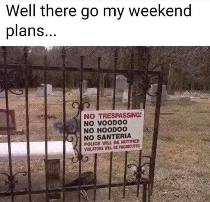 Cemetery gate with a humorous sign prohibiting witchcraft-related activities, combining sarcasm with spooky vibes.