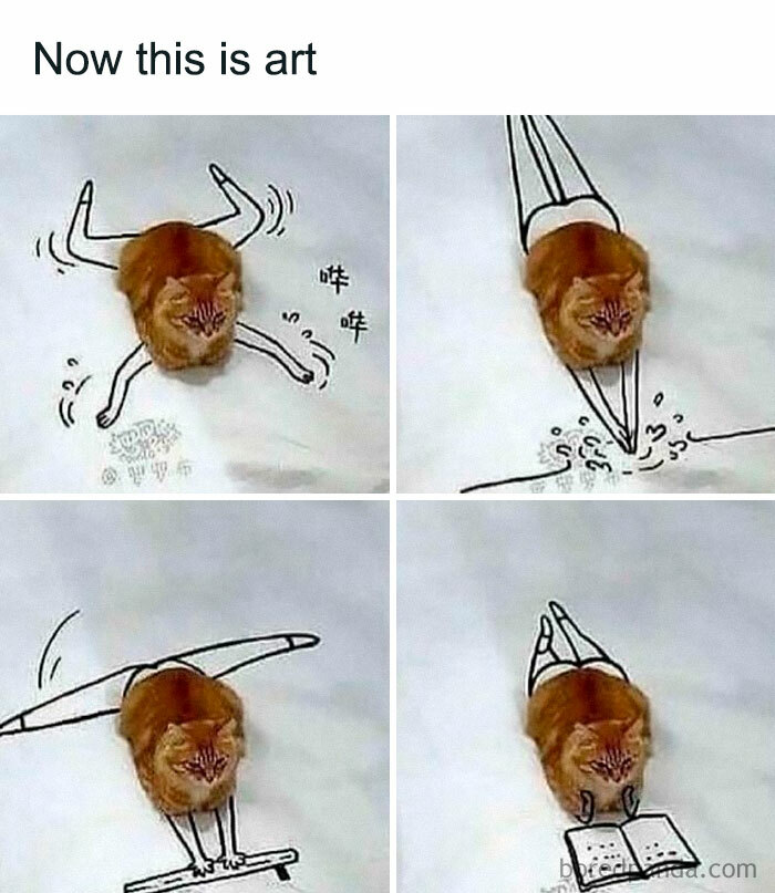 Funny cat cleverly integrated into doodles, creating humorous and awkward animal art scenes.