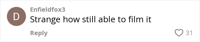 Comment by Enfieldfox3 reacting to viral 'Mom On The Run,' questioning filming ability. Comment by Enfieldfox3 reacting to viral 'Mom On The Run,' questioning filming ability.